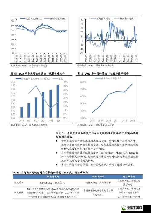 AMAZON 欧洲站和日本站跨境电商运营策略与市场分析