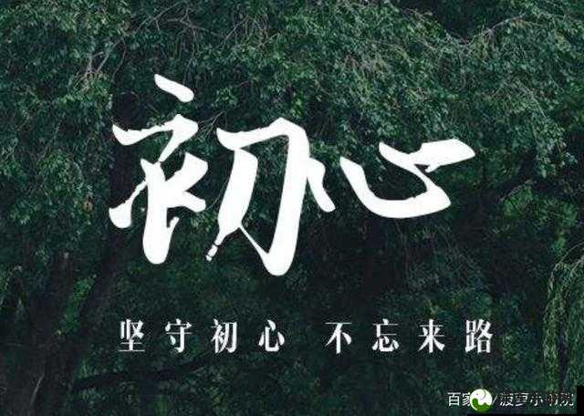 将不限次数老粉：坚守初心追逐梦想的永恒追随者