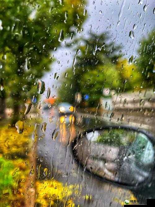 在雨中潮湿的雨中母亲的悄悄话：那饱含深情的温暖倾诉