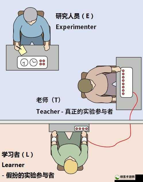 人人操人人色：探索独特的行为现象及背后的思考