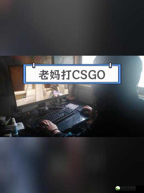 组队指南-55 岁大妈玩 CSGO：带你领略不一样的游戏世界