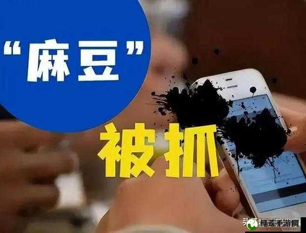 麻豆传煤入口直接进入免费版下载：警惕非法软件带来的风险与危害