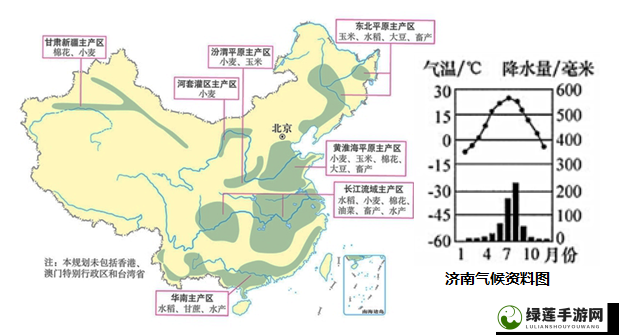 麻豆我精产国品一二三产区区别：深入探究各产区的不同特点及优势